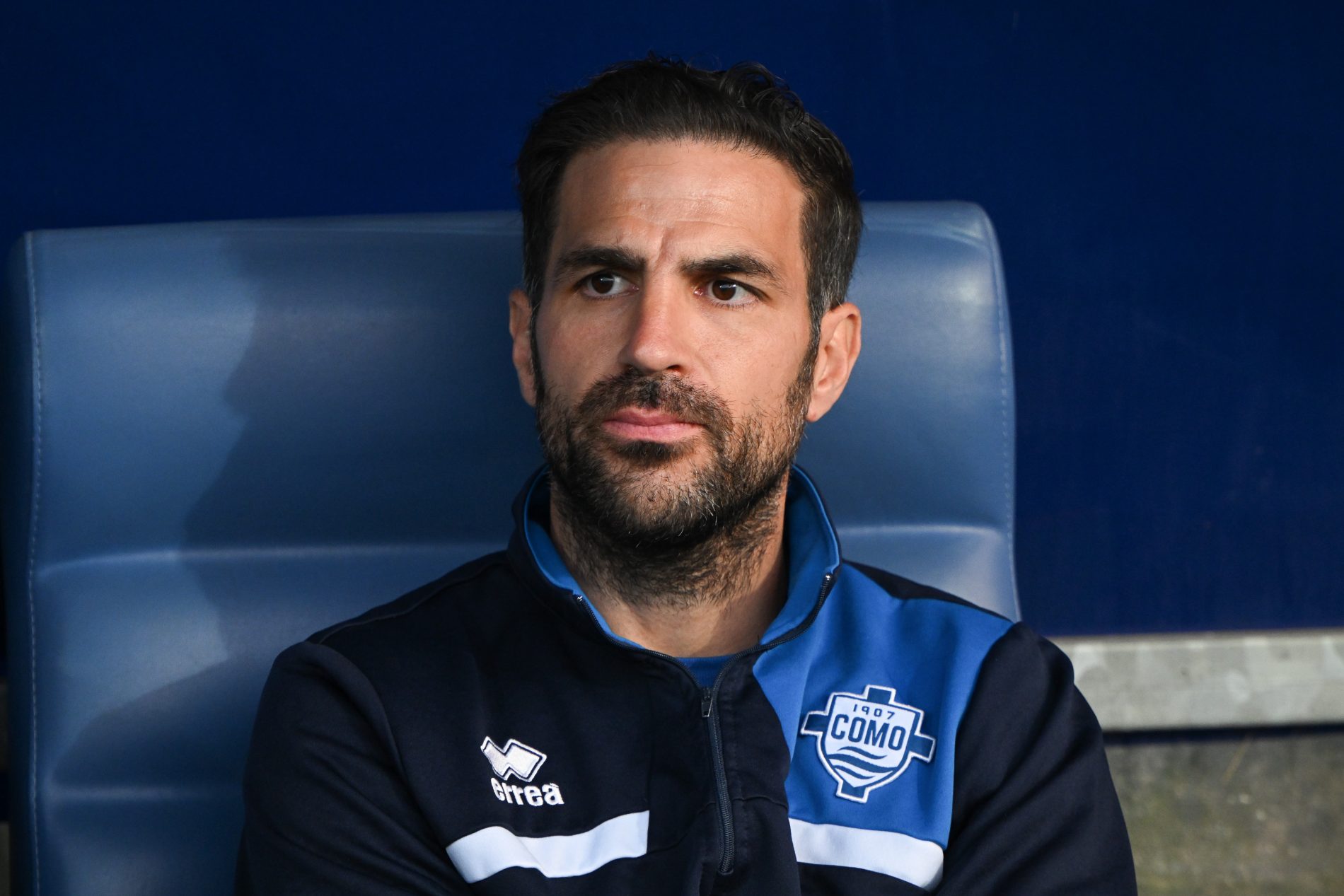fabregas