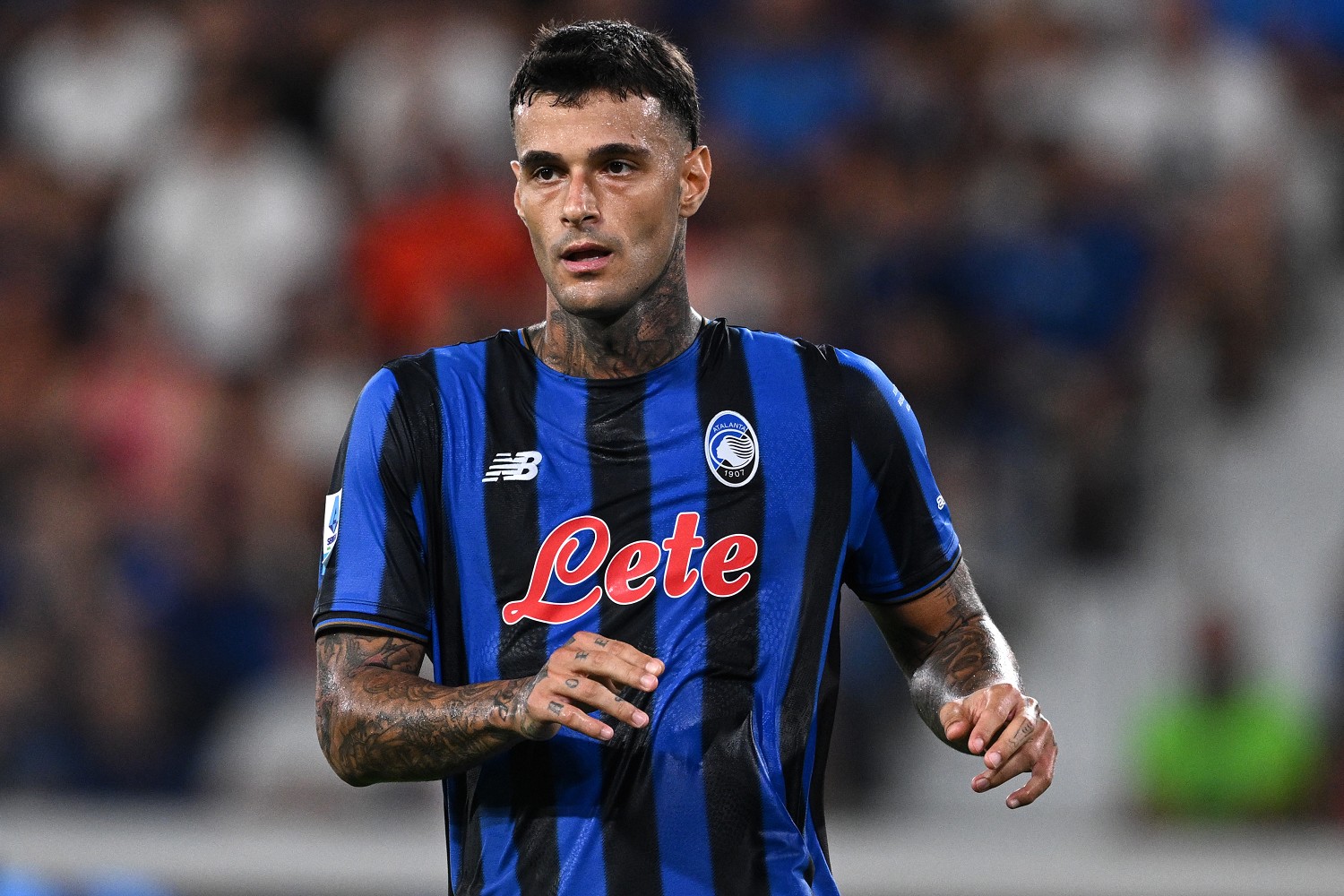 scamacca atalanta