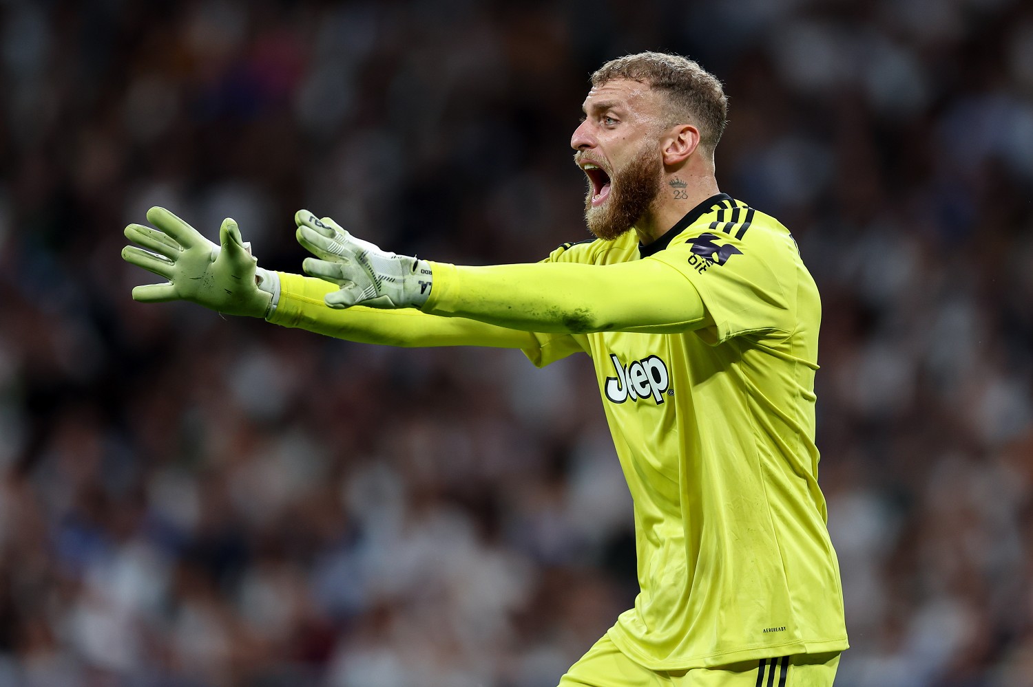 di gregorio pagelle juventus 2025/2026